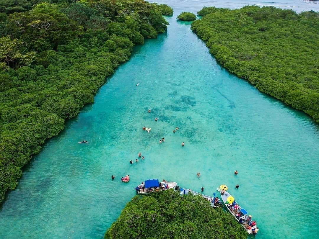 Turquoise water and starfish in Panama